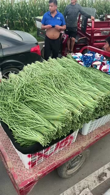 豆角