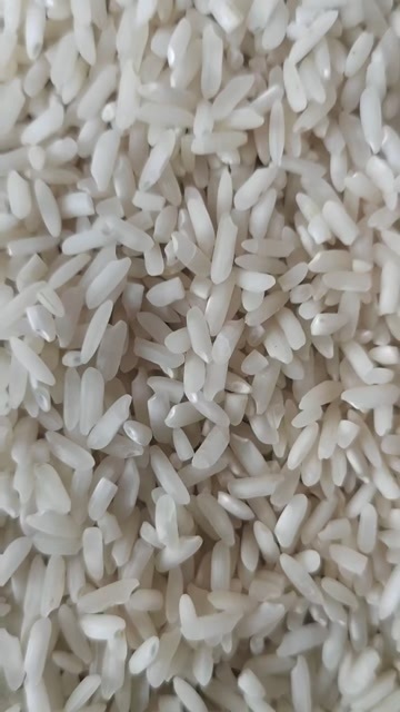 兰坪县自种香米