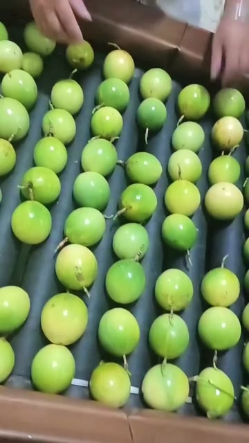 南靖县钦蜜百香果 口感纯甜（精品果）批发不含运费 代发包邮