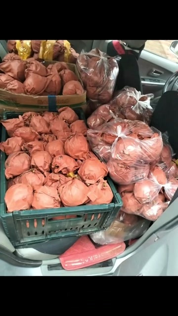 菏泽山东菏泽秋月梨