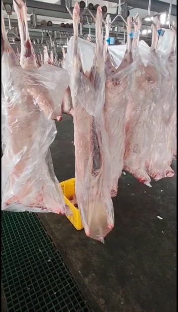 吴忠滩羊