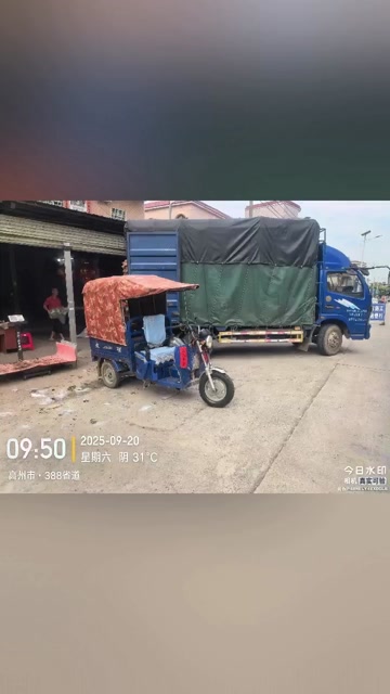 高州粉蕉，香蕉产地直供，专业代收购，代发货！