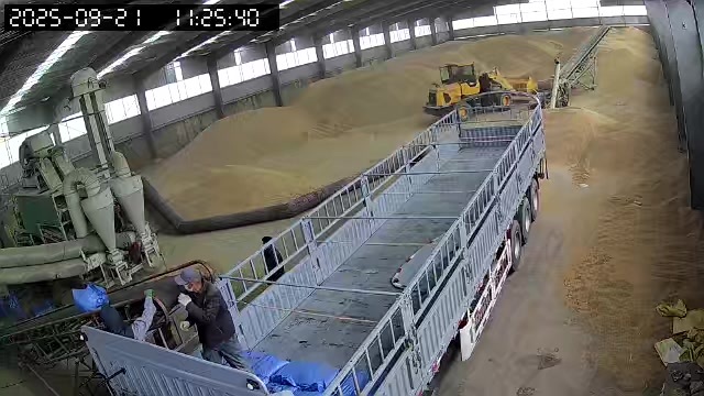 共和县白青稞精选一级陆续发货中