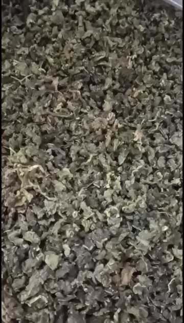 云南昆明桑叶茶 散装花草茶 农副加工