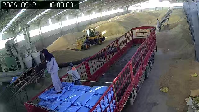 共和县今天的第三车开装，精选一级上等青稞，价格便宜，欢迊下单