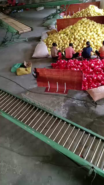 蜜柚