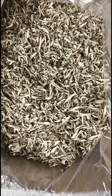 鹿茸菇碎碎菇大量现货厂家直销规格齐全
