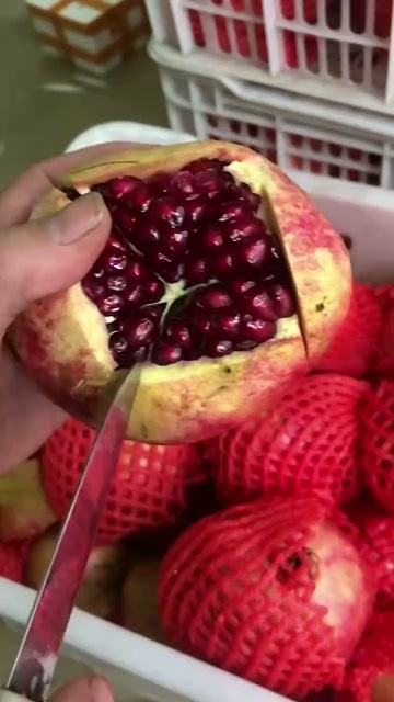 西安临潼净皮石榴