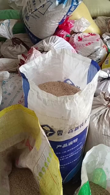 毛芝麻