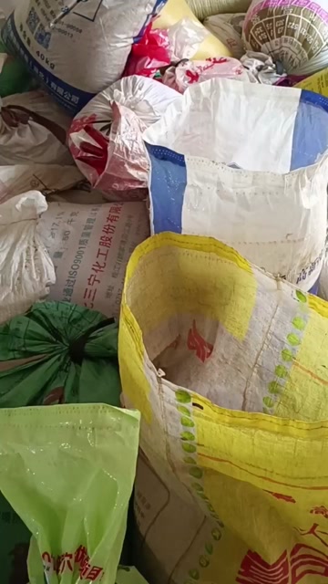 毛芝麻