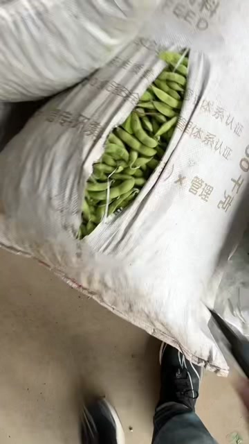 毛豆