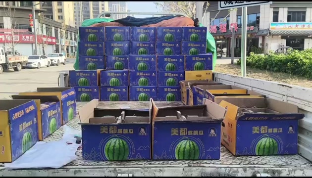 美都麒麟西瓜