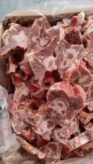 多肉羊蝎子