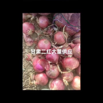 甘肃二红大量供应 电商货