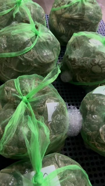 盱眙县大闸蟹 普货2/7规格  硬度8/9  品质统一 大量有货