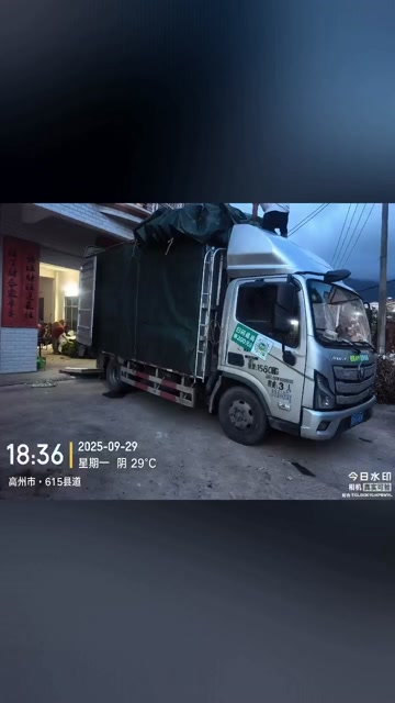 高州粉蕉，香蕉产地直供，专业代收购，代发货！