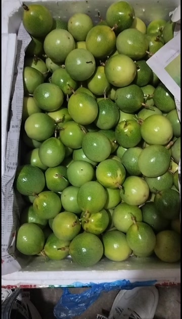 钦蜜九号黄金百香果（单颗重量90克+）产地直发