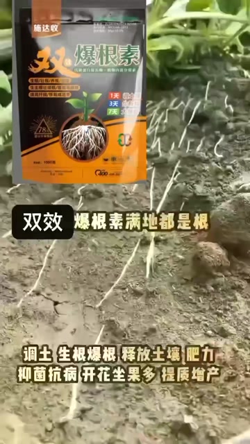 双效爆根素
河南郑州供应生物菌肥 农用微生物肥料