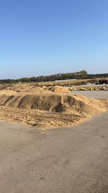 东北寒季园粒水稻