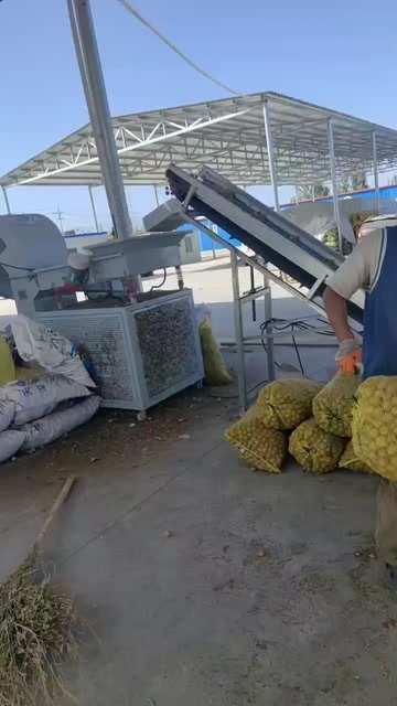 新疆阿克苏乌什薄皮核桃 产地直发