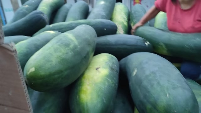 黑皮冬瓜