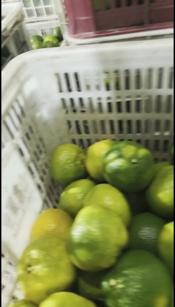 柑橘50-70