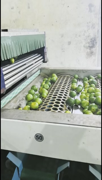 柑橘50-70