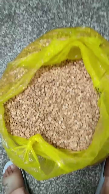长期供应白皮冬瓜籽，质量很好，长出的白皮冬瓜条形很好。