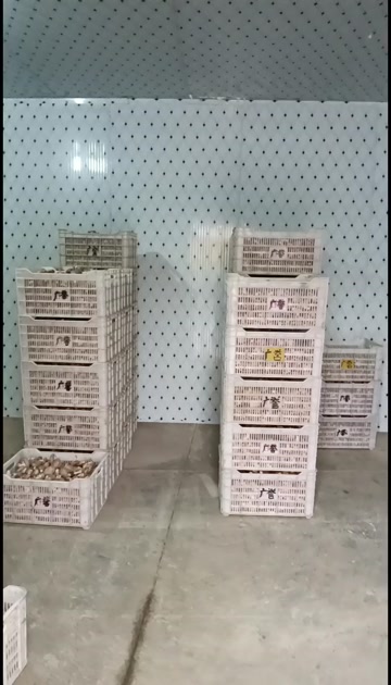 鲜香菇，干香菇