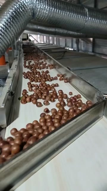 2025夏威果 电商一件代发 商超精品果批发