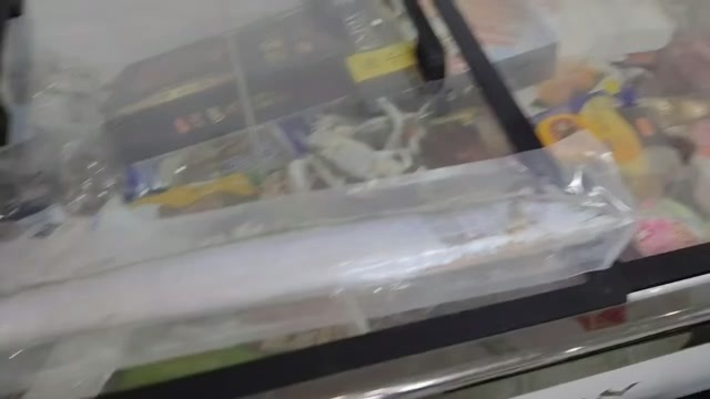 东港市东港刀鱼 辽宁丹东产地直发 水产食用鱼。黄海刀，黄海刀