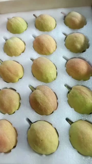 新疆库尔勒香梨