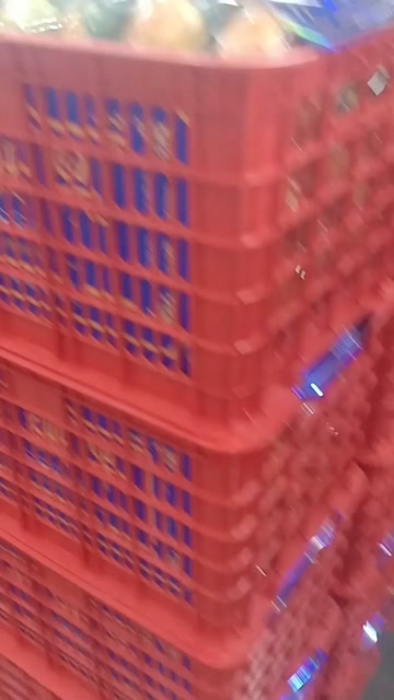 云南沙糖桔
