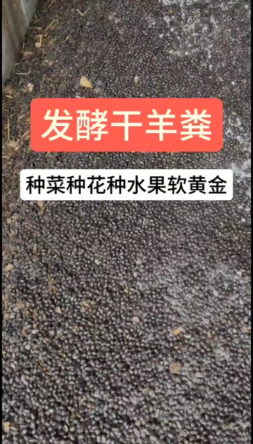 南平延平区供应优质羊粪有机肥