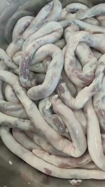 肠包羊肉