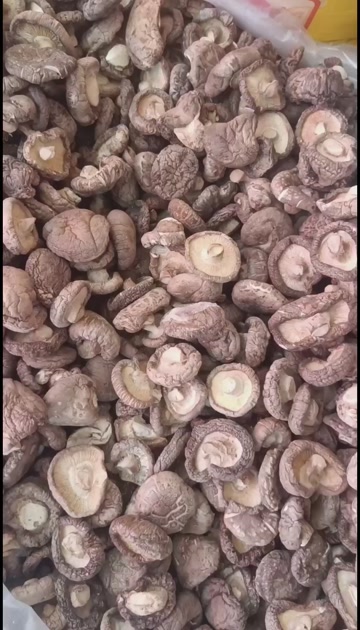 -精选香菇干货 菌盖厚实纹理密 自然晾晒 香味醇厚