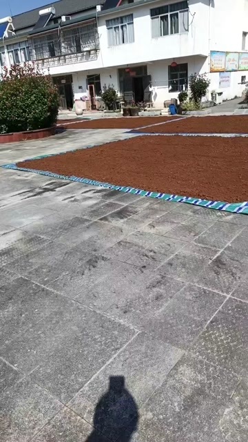 岳西县灵芝孢子粉