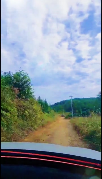 江西赣南信丰脐橙，鲜果采摘发货。