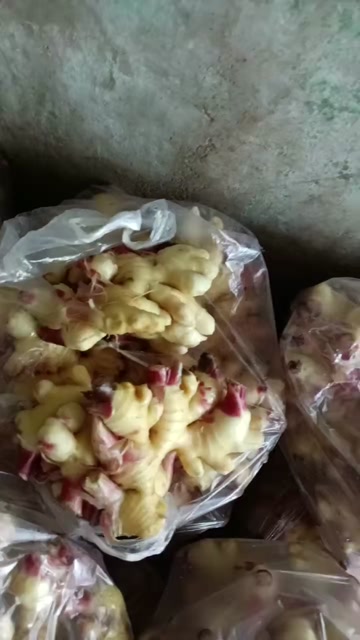 生姜产地直销，商超货质量好，一手货源