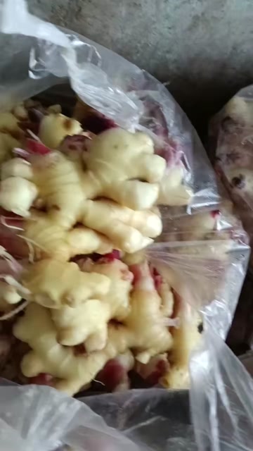 生姜产地直销，商超货质量好，一手货源
