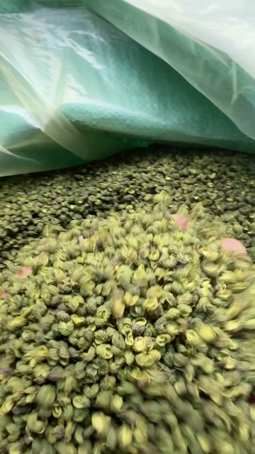 金阳青花椒/麻味纯正/清香浓郁/色翠油亮/很麻很香/精选好货