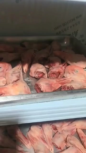 鸭头1.2一个全国包运费