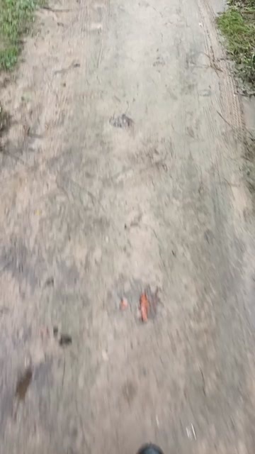 乾县苹果种植户