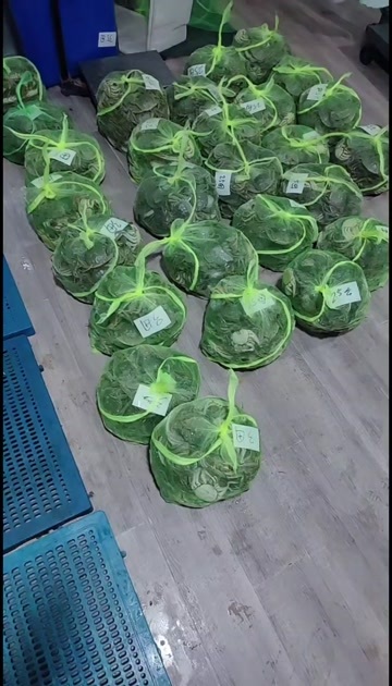 泗洪县大闸蟹 发货中