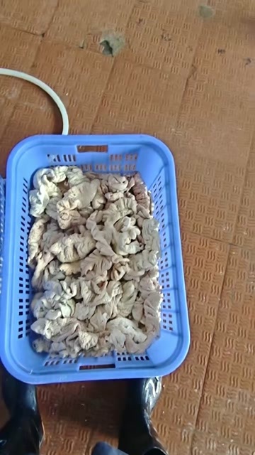 长沙肥肠肠尾，去油干净，价格实惠