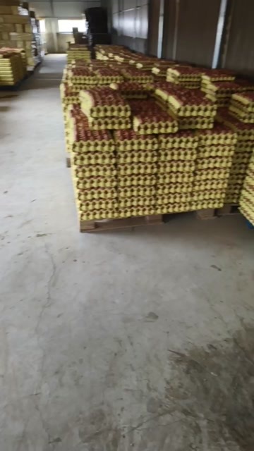 枣阳市红壳蛋
