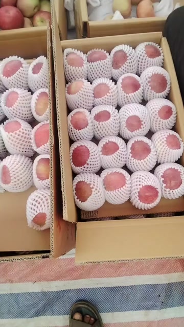 盐源产地专业代办有需要的老板联系