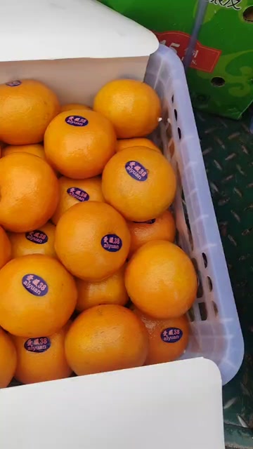 爱媛陆续上市中