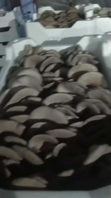 鲜蘑