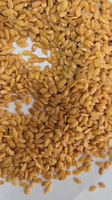 厂家直销亚麻籽，金色、褐色亚麻籽，颗粒饱满，品相佳，出油率高